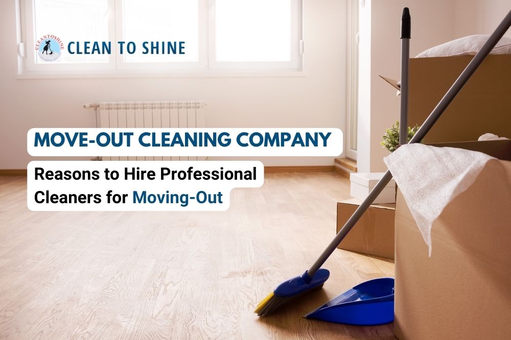 Move-Out Cleaning Company